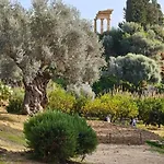 Mediterranea *