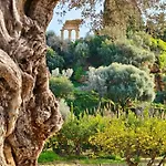 Mediterranea *