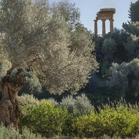 Lejlighed Mediterranea Agrigento